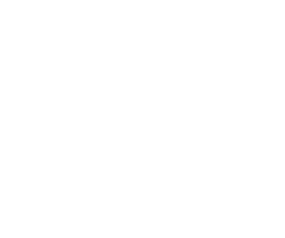 Skol casino logo white