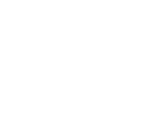 Skol casino logo white