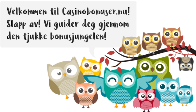 Casinobonuser Norge