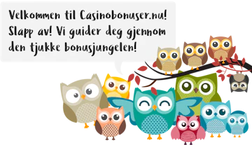 Casinobonuser Norge