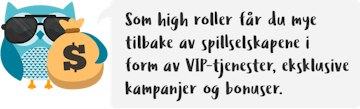 Casino High Roller Bonus